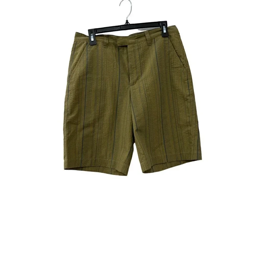 Patagonia Size Men's 30 Organic Cotton Shorts GREEN Stripe
